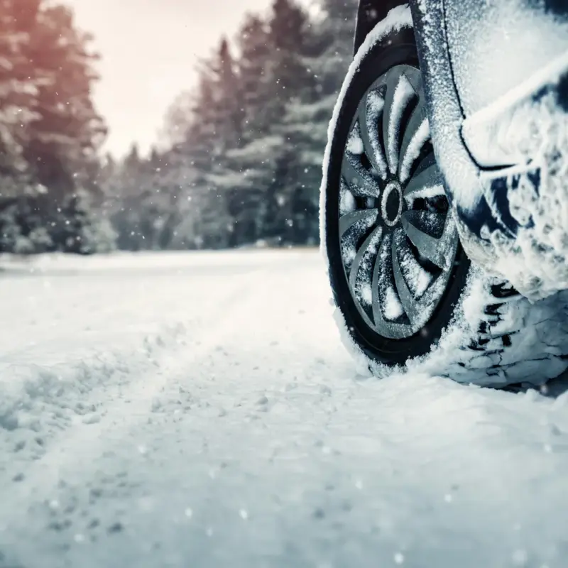 Close-up of a snow-covered car tire and wheel on a snowy road lined with evergreen trees during a snowfall.
